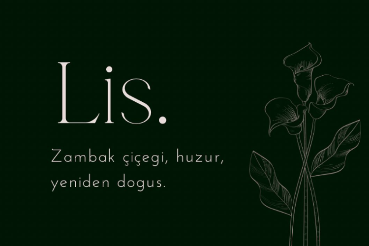 bibak kategori (100)