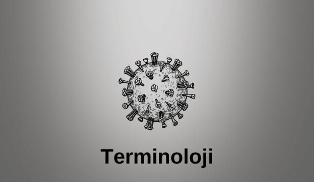 Mikrobiyoloji Terminolojjsi